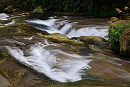 IMG_4898.JPG