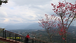 IMG_5151.JPG