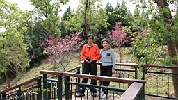 IMG_5153.JPG