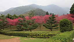 IMG_5184.JPG