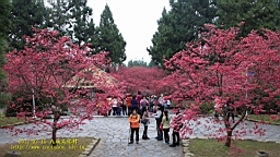 IMG_5220.JPG