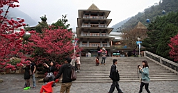 IMG_5221.JPG
