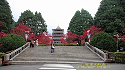IMG_5226.JPG