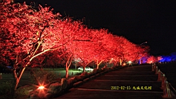 IMG_5282.JPG