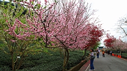 IMG_5331.JPG