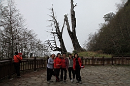 IMG_5387.JPG