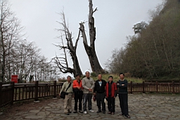 IMG_5388.JPG