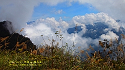 IMG_5434.JPG