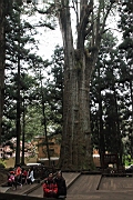 IMG_5460.JPG