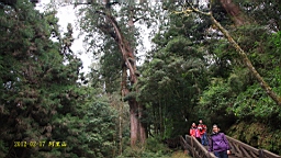 IMG_5477.JPG