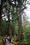 IMG_5482.JPG