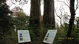 IMG_5490.JPG