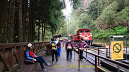 IMG_5495.JPG