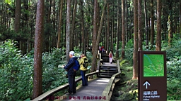 IMG_5557.JPG