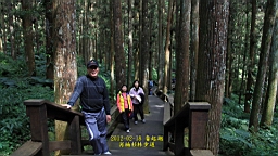 IMG_5559.JPG
