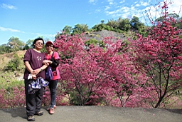 IMG_5627.JPG