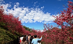 IMG_5633.JPG