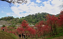 IMG_5655.JPG