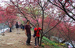 IMG_5681.JPG
