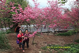 IMG_5689.JPG
