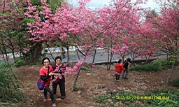 IMG_5690.JPG