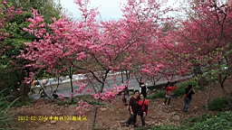IMG_5691.JPG