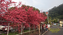 IMG_5724.JPG