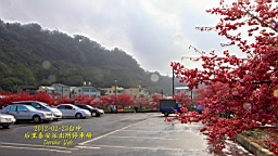 IMG_5732.JPG