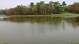 IMG_5784.JPG