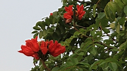 IMG_5791.JPG
