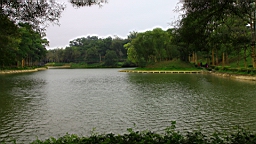 IMG_5818.JPG