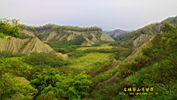 IMG_5849.JPG