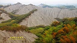 IMG_5855.JPG