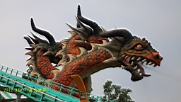 IMG_5889.JPG