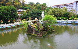 IMG_6015.JPG
