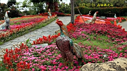 IMG_6026.JPG