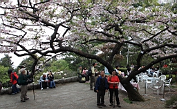 IMG_6325.JPG