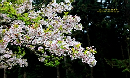 IMG_6331.JPG