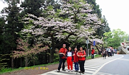 IMG_6333.JPG