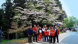 IMG_6334.JPG