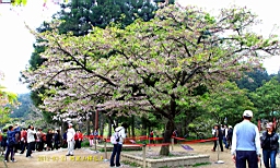IMG_6341.JPG