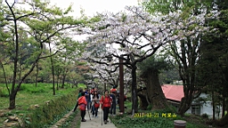 IMG_6348.JPG