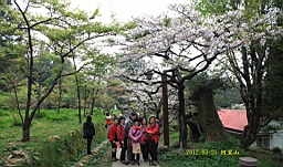 IMG_6349.JPG