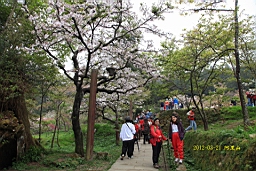 IMG_6354.JPG