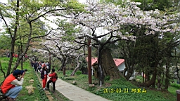 IMG_6355.JPG