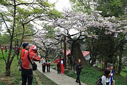IMG_6357.JPG