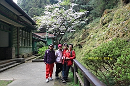 IMG_6390.JPG