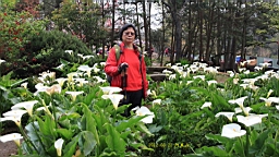 IMG_6432.JPG