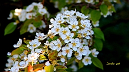 IMG_6560.JPG