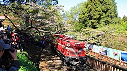 IMG_6640.JPG